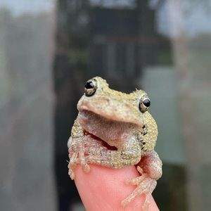 Meet your Posher, Addison